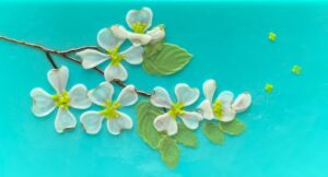 White dogwood flowers with green leaves against a turquoise blue fused glass background.